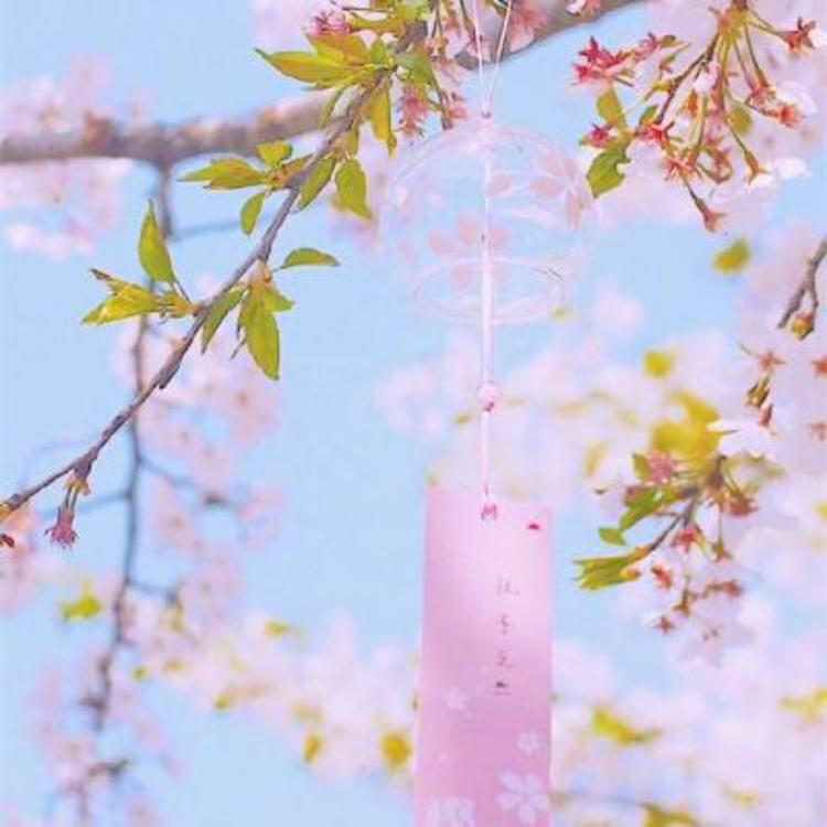 苍井优（饰 高荷惠） - 弹幕视频网站在线观看 - 云端看剧